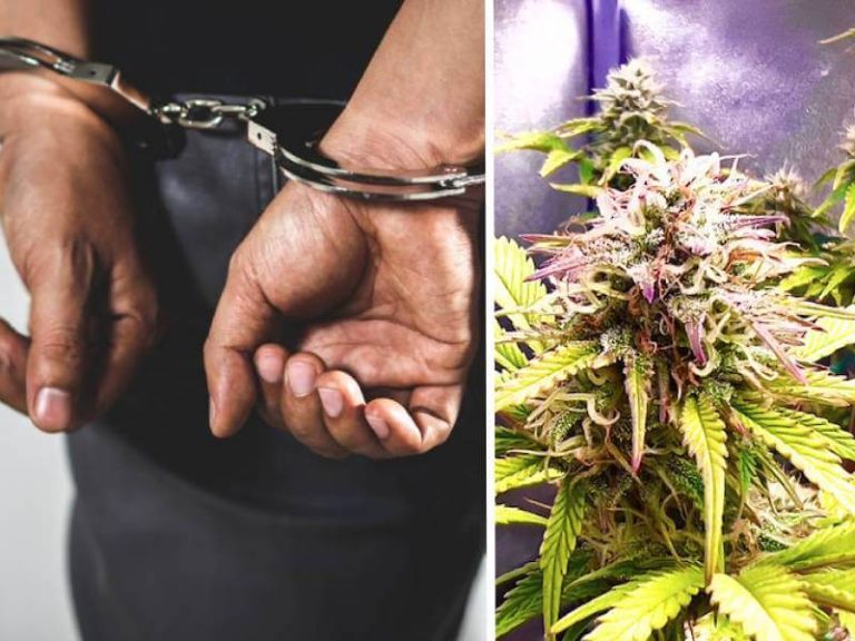 SFORZI BIEX F’PAJJIŻNA JONQOS L-ABBUŻ TAD-DROGA