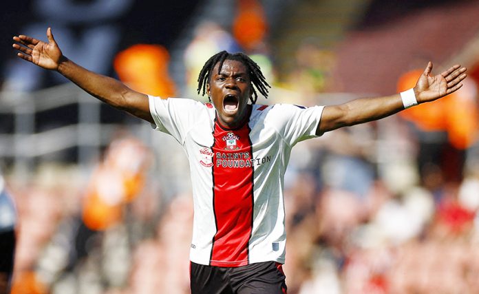 Premier League - Southampton v Fulham