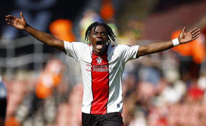 Premier League - Southampton v Fulham