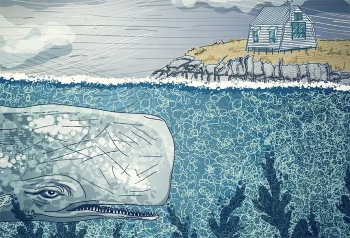 blue whale