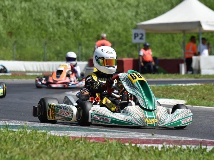 Carting
