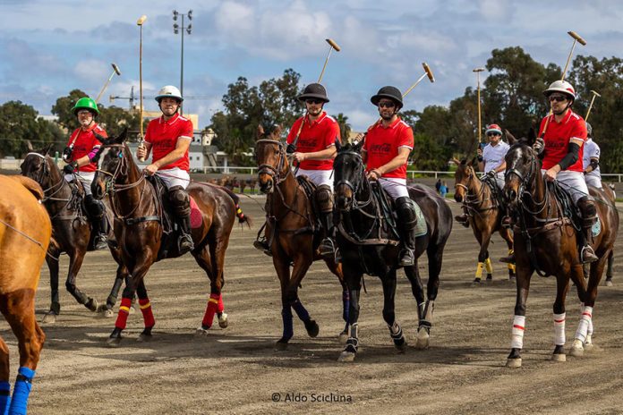 Polo