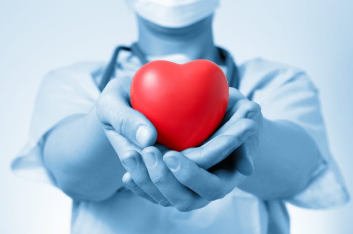 Doctor holding a heart