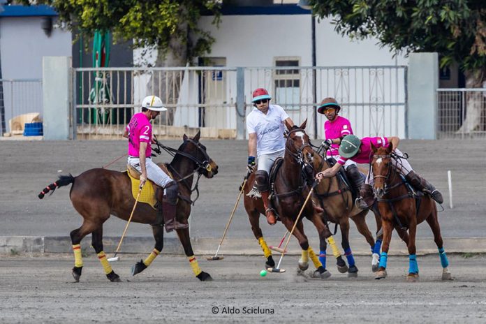 Polo