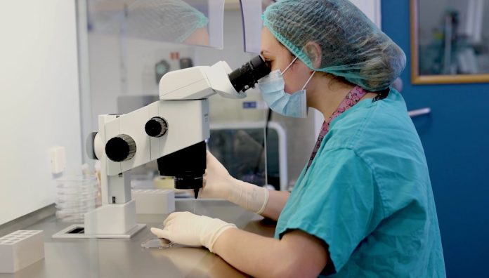 IVF