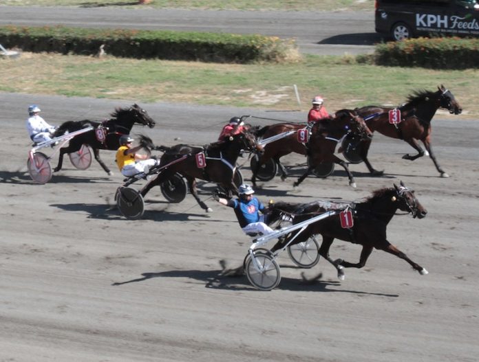 Akela Play jirbah it tieni semi final tas Sette Giugno Cup Ritratti: Mike Orland