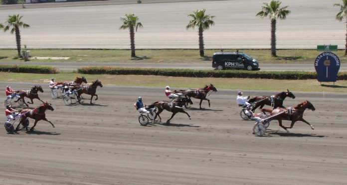 Espoir d'Elphigny u Rodney Gatt jirbhu is-7 tigrija