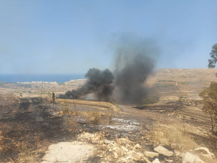 Nirien zebbug