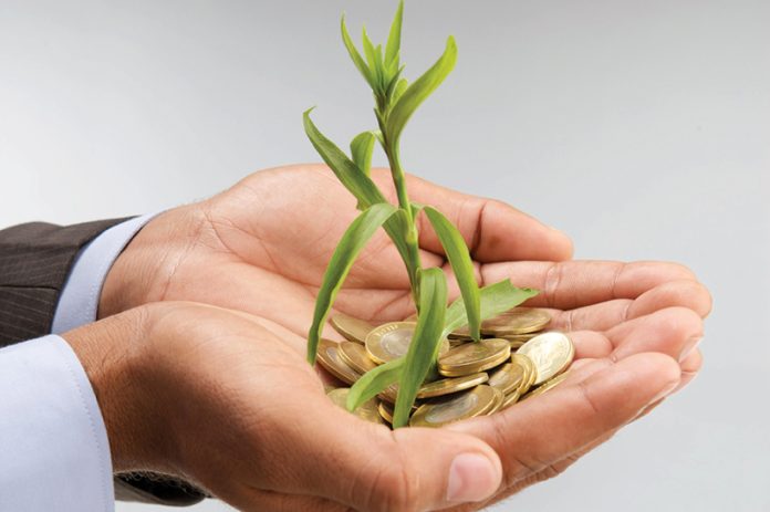 ED7H98 Indian businessman cupping hands with money tree