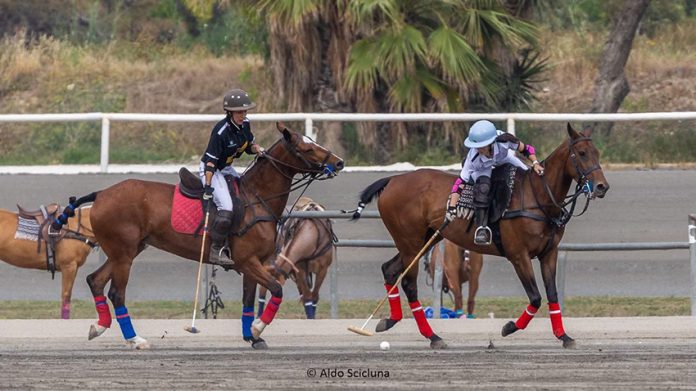 Polo