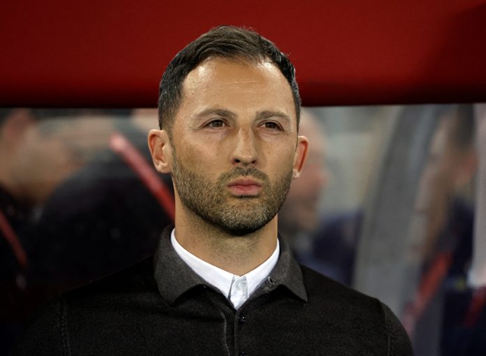 FILE PHOTO: Euro 2024 Qualifier - Group F - Austria v Belgium