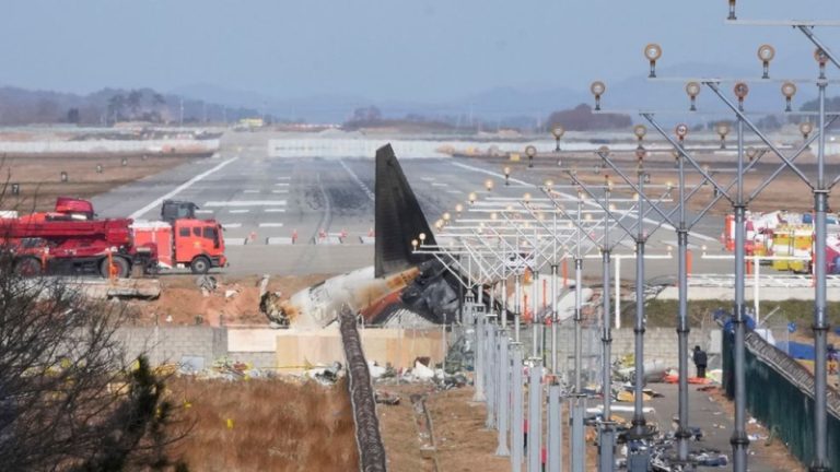 Rix tal-għasafar misjub fil-magni tal-ajruplan li ġġarraf fil-Korea t’Isfel
