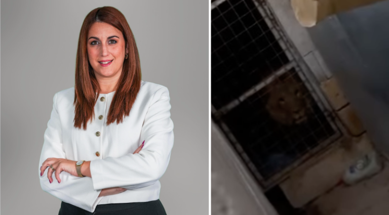 “Il-prijorità bħalissa hi l-benesseri tal-annimali u li jinstab post adegwat fejn jistgħu jiġu rilokati” is-Segretarju Parlamentari Alicia Bugeja Said