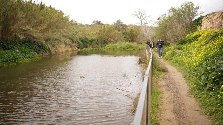 Wied il-Qlejgħa huwa wieħed mill-iktar widien importanti f’Malta mill-aspett ekoloġiku