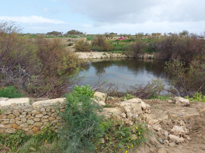 Ghadria ta san raflu