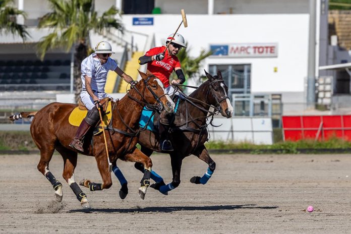 Polo
