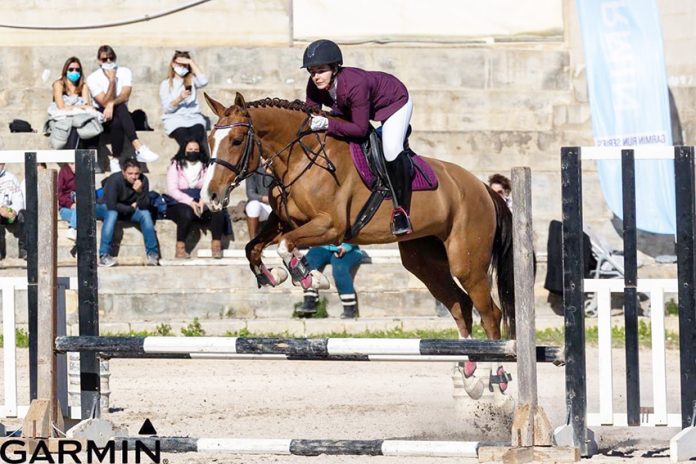 horse