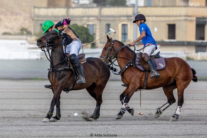 Polo