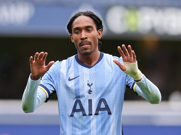 Pre Season Friendly - Queens Park Rangers v Tottenham Hotspur
