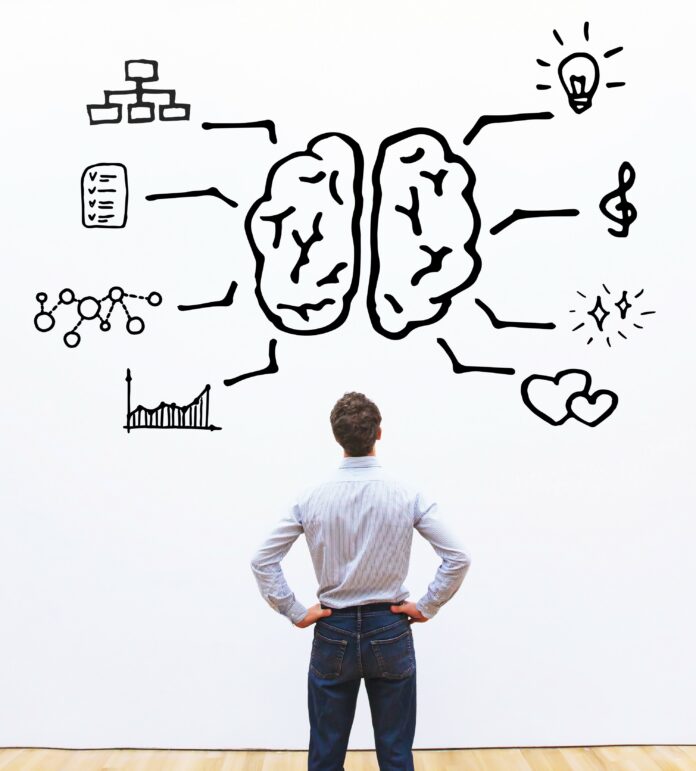 human brain right left
