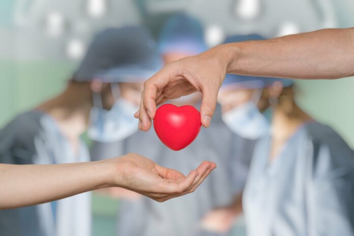 organ donor