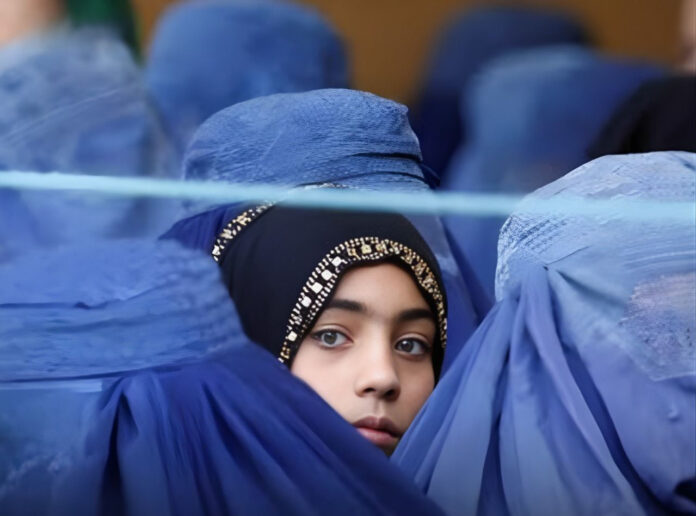 talibani