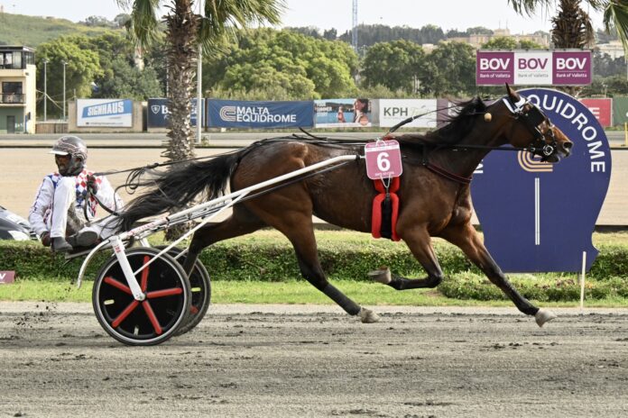 Dats so Cool Winning the BOV Tazza l-Kbira 2026