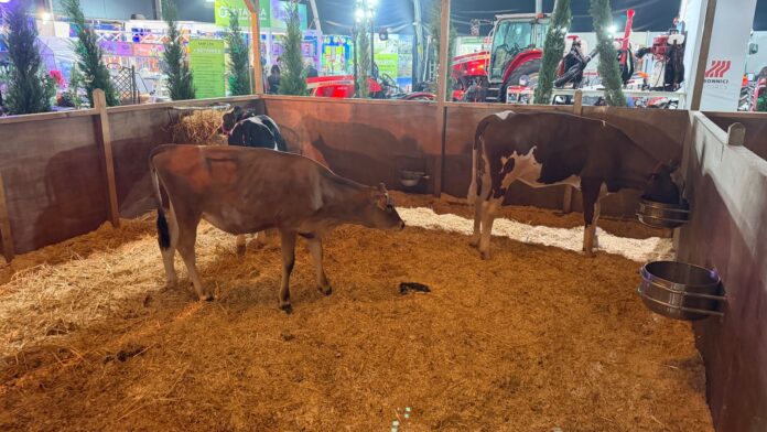 agrifair