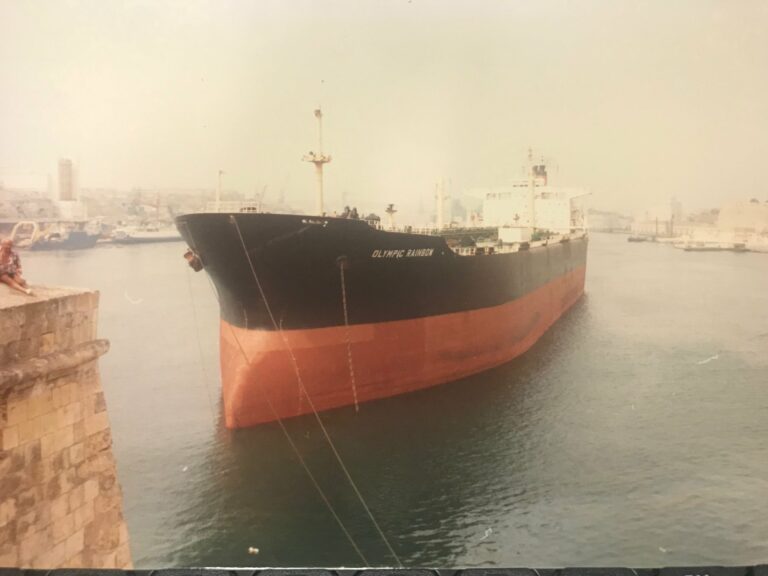 Meta l-Port il-Kbir kien imblukkat mill-ħaddiema u l-Ark Royal ma daħlitx