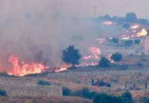 Tliet pumpiera jmutu fil-ġlieda kontra nirien f’partijiet tal-Greċja