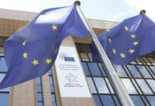 L-Irlanda fit-tmun tal-Kunsill tal-Unjoni Ewropea