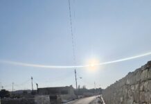 75 siġra ġdida se jitħawwlu fiż-żona ta’ Triq Bur il-Kbir fis-Siġġiewi