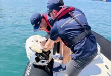 Jitella’ geyser li ntrema fil-baħar f’żona protetta