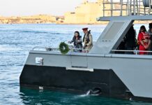 “IL-GWERER MA FIHOMX REBBIEĦA IMMA TELLIEFA BISS”