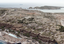 L-ERA twieġeb dwar it-tneħħija ta’ siġar minn Kemmuna