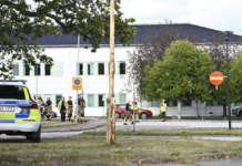 Tfajla tinqatel f’attakk fi skola fl-Iżvezja