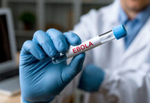 Il-marda tal-Ebola mistennija tkun l-aktar waħda fatali li qatt kien hawn