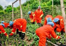 Il-Ghana qed tmexxi t-talba għal riparazzjonijiet dwar l-iskjavitù