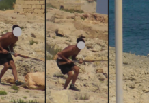 Allegatament jispara fuq qatgħa ta’ Agretti Sofor protetti fil-kosta taż-Żonqor…
