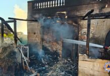 Kelb u resident salvati waqt nirien li ħakmu f’residenza u garaxx f’Ħad-Dingli