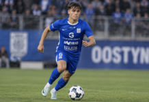 Player imut f’aċċident stradali wara li ċerva daħlet mill-windscreen fil-karozza tiegħu