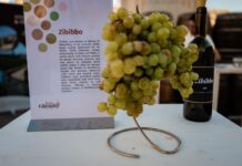 Is-Siġġiewi jiċċelebra l-wirt agrikolu tiegħu … Festa Għeneb 2026