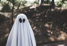 “L-informazzjoni mitluba sparixxiet”