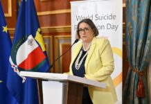 ‘Mhux biss rinnovazzjoni imma